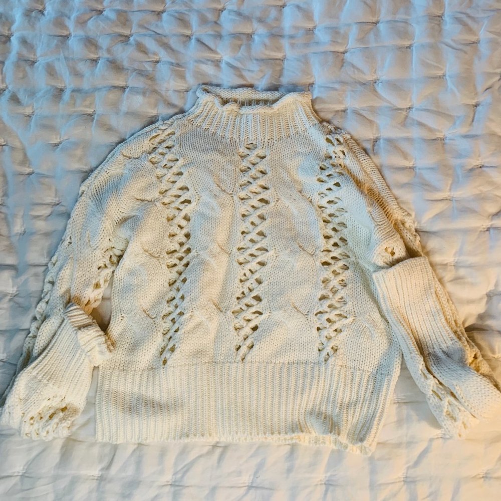 Express Turtleneck Cable Knit Crop Sweater